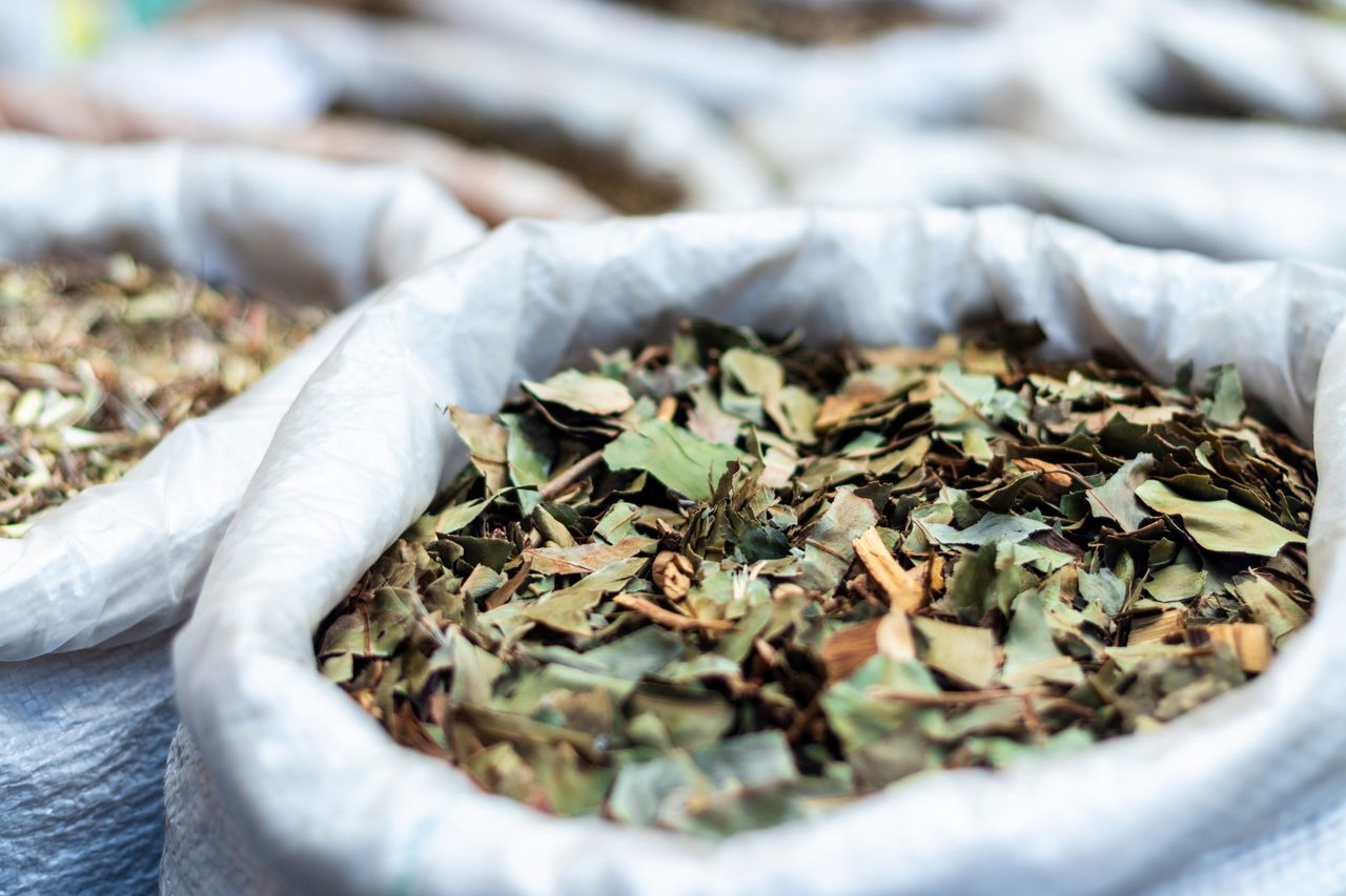 The Art of Drawing Readers In: Your attractive post title goes here Close-up of dried herbal leaves in bags at a São Paulo market, showcasing natural textures.